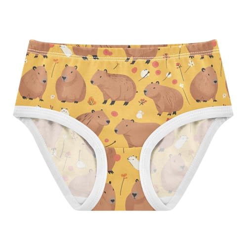 Wusikd Capybara Girls' Underwear Cotton Orange Girls Briefs Soft Toddler Underwear 2T