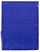 Kotap 10 x 10 Ft. All-Purpose Multi-Use Protection/Coverage 5-mil Poly Tarp, Waterproof, Blue, 1-Pack (TRA-1010)