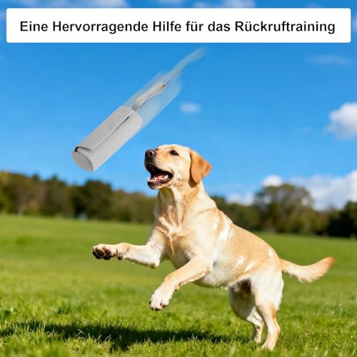 GZRXIOUS Futterbeutel für Hunde, Wasserdichter Apportierbeutel aus Oxfordstoff – Leckerlibeutel für Hunde, Einhandbedienung, Perfekt als Erziehungshilfen für Dummy Hundetraining (Grau)
