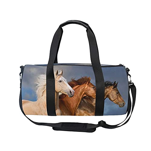 Sac de sport Thress Chevaux Bleu ciel Sac de sport de voyage avec compartiment à chaussures et poche humide pour homme ou femme Cover