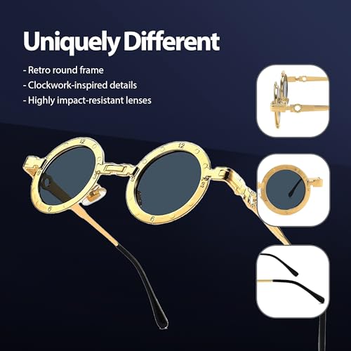 Technigadgets Draco Vintage Round Sunglasses Retro Gothic Clock-Like Eyewear For Men Women Metal Frame UV4003