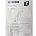 Yamaha Primary Fuel Filter Element, #6D8-WS24A-00-00