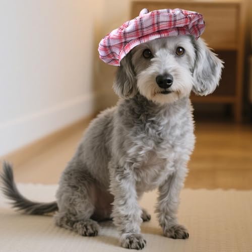 Chapéu Para Cachorro - Chapéu de Moda para Animais - Boina Francesa de com Tira Ajustável para Cães