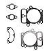 Cylinman Gasket Set 694012 499889 Fit for 446677 446777 44677A 446877 446977 44H777 44P777 44Q777 Electrolux AYP 7178C99 7187A99 8188A89 8188B89 Lawn Tractor