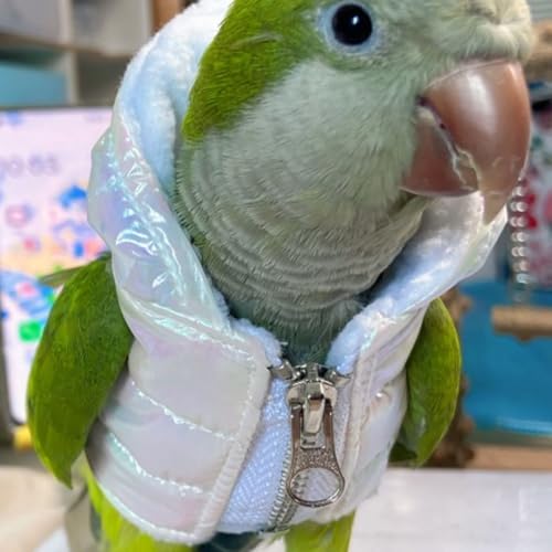 Fantasia de aniversário de festa de Natal de pano de pássaro para papagaio, Halloween, animais de es