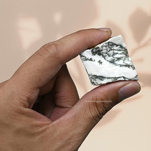 Image of Amazing Gemstone 2 Pieces Tree Agate Raw Crystals and Healing Stones, Natural Rocks for Tumbling and DIY Raw Stones and Crystals