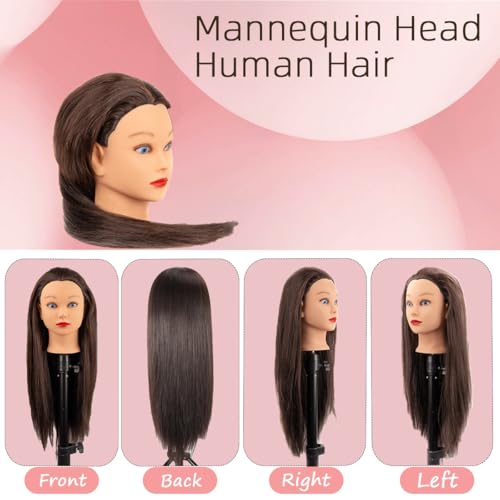 Mannequin Head Human Hair Female 80% Human Hair Mannequin Head Hair Styling Cosmetology Manikin Head Doll Head for Hairdresser with Clamp Holder and Tools