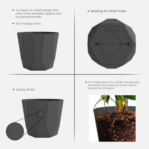 Image of YUCCABE ITALIA SHERA Hexa Plastic Planter Pot for Plants | Decorative Flower Pot | UV Protected Lightweight Indoor Outdoor Gamla for Home Decor, Balcony, Garden & Living Room