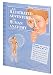 An Illustrated Adventure in Human Anatomy