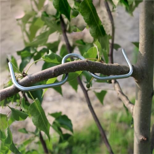 Herramienta para modelar ramas de árboles frutales