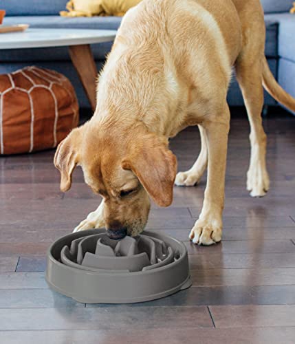 Outward Hound Fun Feeder Slo Bowl, Slow Feeder Dog Bowl, Large/Regular, Grey #TOP6
