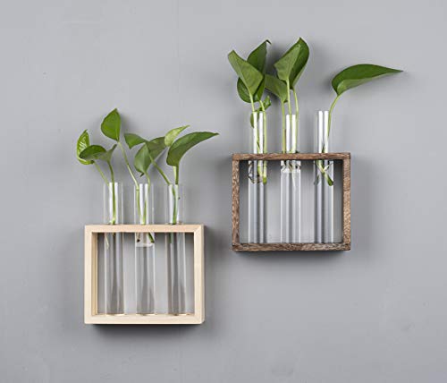 PACDONA Wooden Propagation Station with 3 Glass Test Tubes, Tabletop Glass Terrarium Holder for Cuttings Hydroponics, Home Office Desk Decor Gift for Women Mom Plant Lovers, Brown - Thumbnail 3