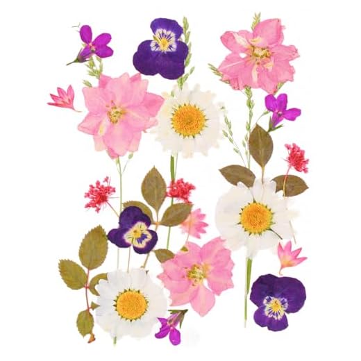 24 Piezas Conjunto de Flores Secas Naturales Prensada Mezclada Decoraciones Preservadas Manualidades para Velas de Bricolaje,Joyería de Resina Bricolaje Manualidades álbumes de Recortes-Estilo 1