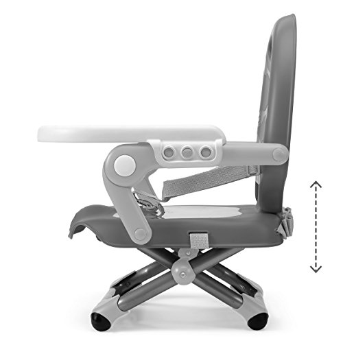 amazon chicco pocket snack