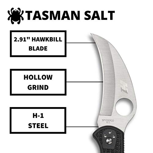 Spyderco Tasman Salt 2 Lightweight Knife With 2.91" H-1 Ultra-Corrosion-Resistant Steel Blade And Black Frn Handle - Plainedge - C106Pbk2 #TOP2