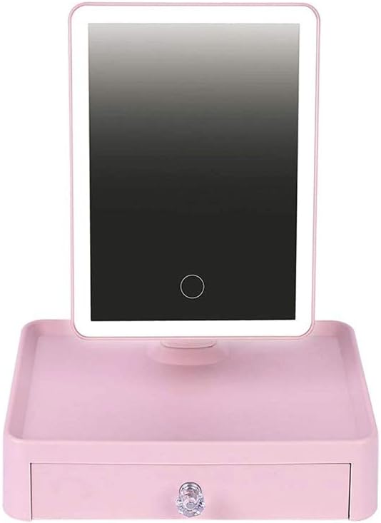 LED Lighted Makeup with Travel Jewelry Box Organizer Storage Case with Charging,Dimmable, Earrings & Necklaces Best for