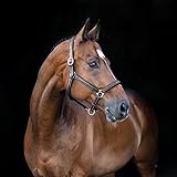  HORZE Cabezada de Cuadra de Cuero Suave Warren, Negro, P