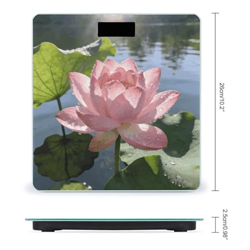 Báscula digital de baño inteligente con vidrio templado miniatura 2