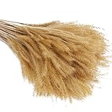 No se requiere luz solar ni poda. Las flores secas naturales decoracion solo le brindan el disfrute de la belleza. No necesita dedicar tiempo para cuidarla. Es muy adecuado para personas que están ocupadas en el trabajo y están ansiosas por tener plantas. .