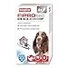 Price comparison product image Beaphar - FIPROtec® COMBO for Medium Dogs (10-20kg)  6 pipettes - Kills Fleas, Flea Eggs, Flea Larvae & Ticks - Stops Fleas Multiplying on Pet and in Home - Vet Strength Dog Flea Treatment