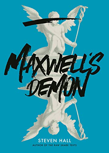 Maxwell's Demon view 2