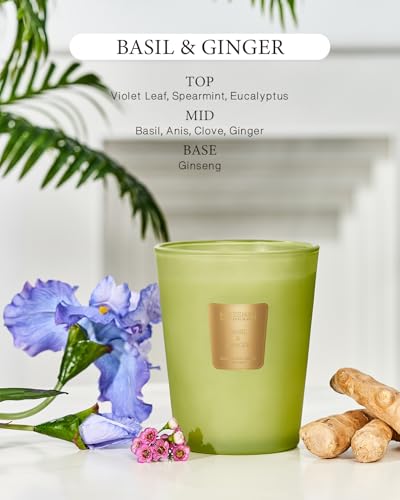 MSENSE-Basil-Ginger-Scented-Candle-Home-Decor-Extra-Large-3-Wick-Natural-Soy-Wax-Candles-for-Home-Scented-Christmas-Candles-Gift-for-Winter-Holiday-150-Hours-Long-Lasting-Slow-Burning-35-OZ MSENSE Basil Ginger Scented Candle Home Decor Extra Large 3 Wick Natural Soy Wax Candles for Home Scented Christmas Candles Gift for Winter Holiday 150 Hours Long Lasting Slow Burning 35 OZ