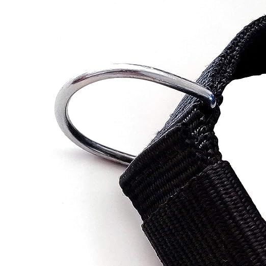 Image of Passion 1 Inch Black Dog Collar