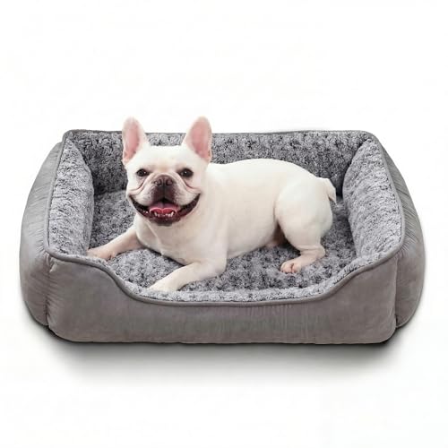 Oiilores Dog Sofa Bed Washable for Small Medium Dogs, Soft Plush Calming Beds with Non-Slip Bottom - Anti-Anxiety Rectangle Puppy Mat (60 x 45 cm, Grey)