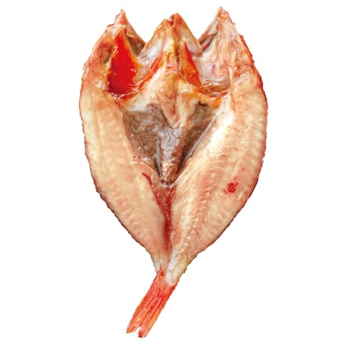 ̐l LL 񂫂̊J 1 kC z  kCY yY 