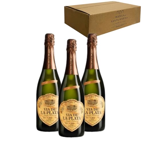 Cava Vía de la Plata Chardonnay Brut Nature - Para Disfrutar en Celebraciones y con los Tuyos - Pack 3 Botellas 75cl