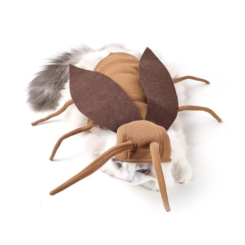 Disfraz divertido de cucaracha para perros miniatura 6