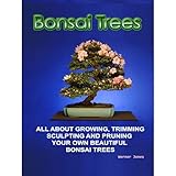 Bonsai Trees (Correct Times)