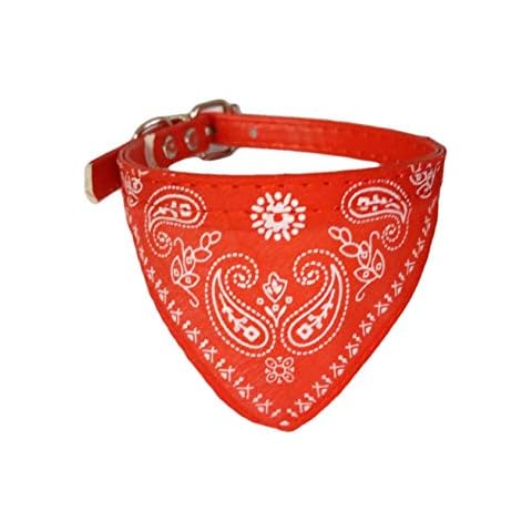 GB Falconry Leather Cat Collar with Neckerchief Scarf Bandana (UK seller) (red) Cover