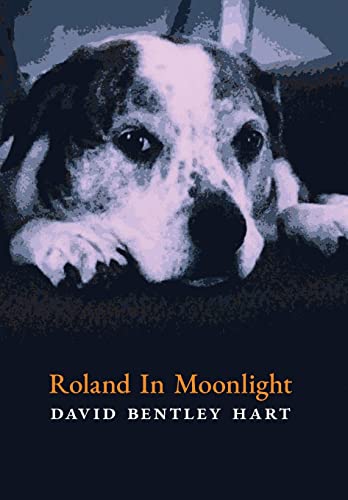 Roland in Moonlight view 2
