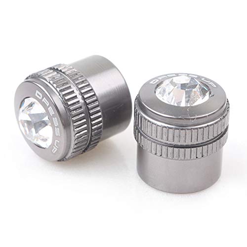 CNxinn10 Tire Air Valve Cap Air Caps Cover Tyre Valve Dust Cap for KYMCO AK550 XSR900/ for Yamaha Tmax 530 Xmax 300, Titanium