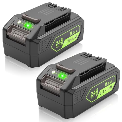 Futurebatt 2-Pack 8.0Ah 24V Battery