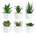 6 Piezas de Plantas Suculentas Artificiales en Macetas, Plantas Suculentas Artificiales Verdes, Utilizadas para Escritorio, Oficina, Sala de Estar y Decoración del Hogar