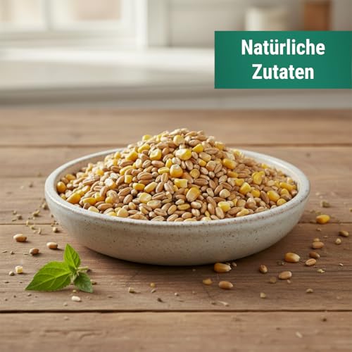 Agrarzone Mangime per anatre granaglie 20 Kg - Formula 100% naturale e senza OGM - Ideale per anatre, germani reali e oche - Ricco di cereali e ad alta digeribilità - immagine 4