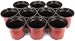 LATERN 50Pcs 15cm Macetas de Plástico para Plantas Macetas de Inicio de...