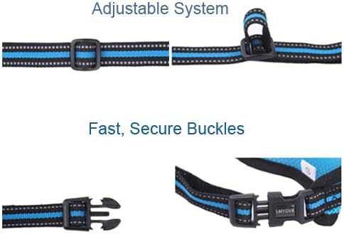 Meeyou Adjustable Soft Mesh Cat Harness with Leash (Large, Blue-New)