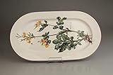  Villeroy & Boch Fleischplatte Chelidonium majus groß Botanica