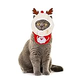 🎅【Ajustable】No hay necesidad de preocuparse por el tamaño, nuestros disfraces de Navidad para mascotas se pueden ajustar para adaptarse al tamaño de su mascota para brindarle la experiencia más cómoda y cálida.