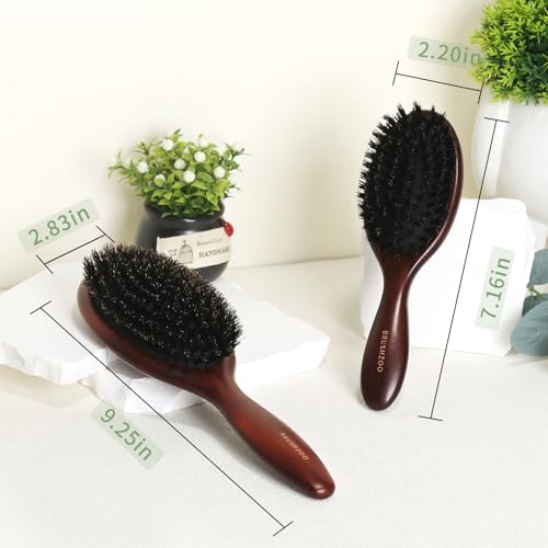BRUSHZOO Hair Brush, Boar Bristle Hair Brushes for Women Men Kids Detangling, Natural Hairbrush for Thin Fine Short Hair Add Shine Improve Texture Reduce Frizz (Regular & Small)