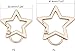 Silver Star Shaped Stainless Steel Keychain Clip Carabiner Snap Hook Holder Star Carabiner Key Holder with Key Chain Rings