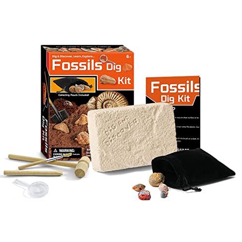 Georgie Porgy Dig it Out Dinosaure Pierres précieuses minérales Kit d'excavation fossiles archéologie Science Jouet éducatif Cadeau d'anniversaire pour Enfants garçons Filles 6 7 8 9 Ans (Fossiles) Cover