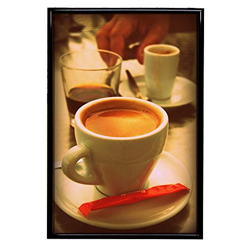 Frame USA 27x41 Deluxe Polystyrene Plastic Poster Frames (Black) Made in America