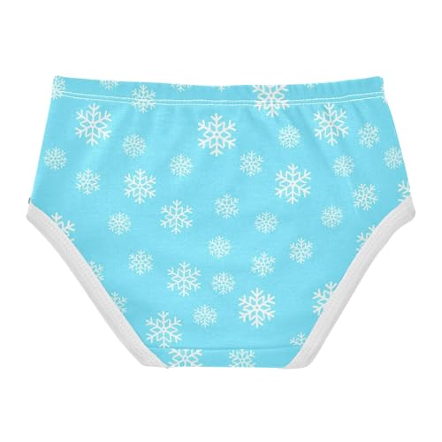 Snowflake Blue Toddler Girls's Underwear 2T 23029152