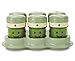 Magic Bullet BBSK-0801 Baby Bullet - Storage Kit (with To Go Tube & Lid), 8.3 x 3.9 x 8.1 inches, Green