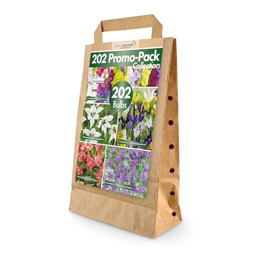 Mixed Summer Flowering Bulbs | 202 Bulbs in 5 Varieties | Bee & Butterfly Friendly | Eco Packaging | Premium Quality