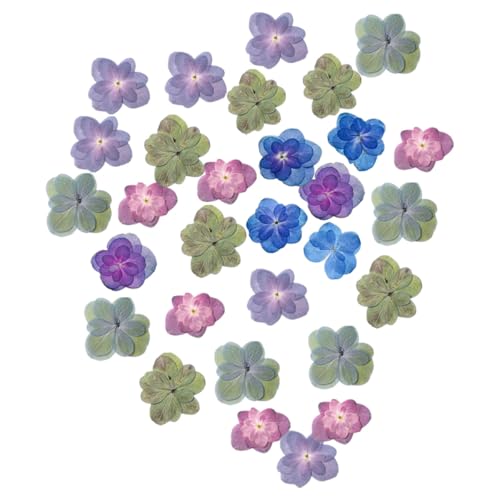 30 piezas flores secas prensadas hortensia para manualidades miniatura 1
